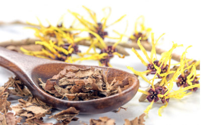 How to Use Witch Hazel