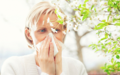 Seasonal Allergies