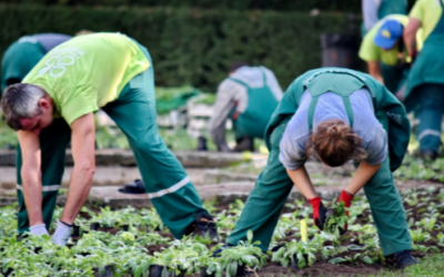 Benefits of Gardening