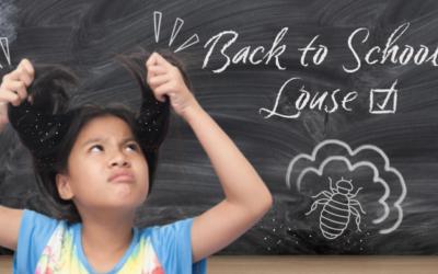 Back to School Louse Check